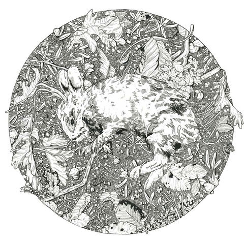 Reverberate,Letterpress,Print,reverberate, letterpress, print, limited run, bunny, rabbit, jackalope