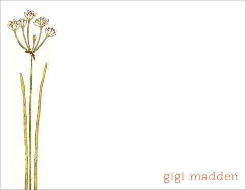 wild,onion,stationery,wildflower, stationery, wild onion