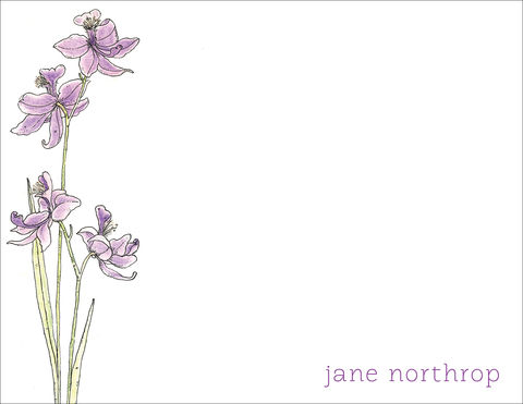 bog,orchid,stationery,wildflower, stationery, purple, bog orchid