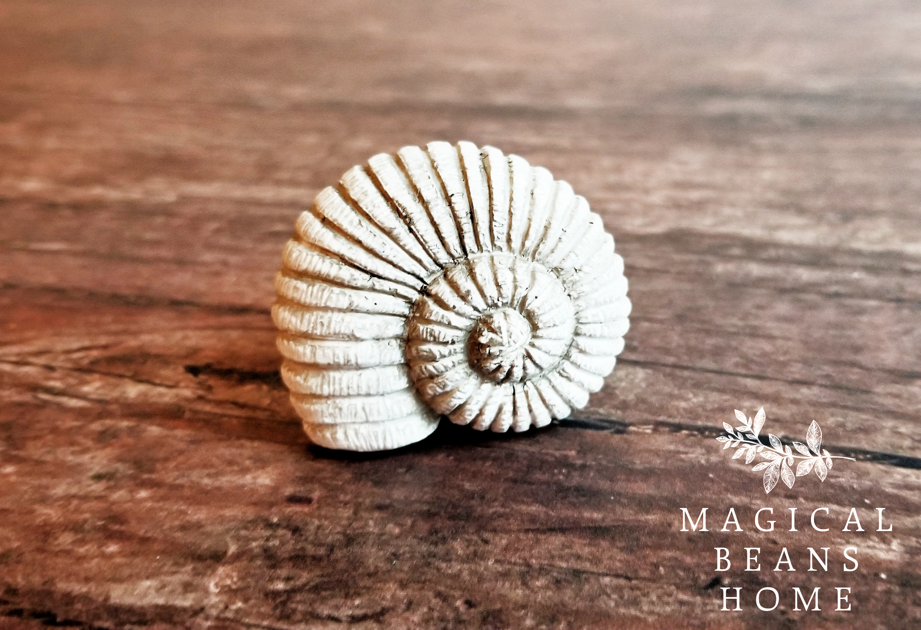 DECORATIVE COASTAL COTTAGE, SANDY WHITE, CONCH SHELL DRAWER KNOBS
