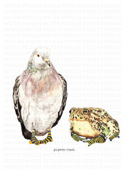 Product images  of 
