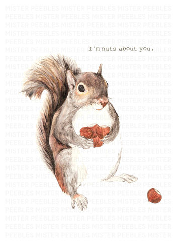 I’m,Nuts,About,You,Greetings,Card,by,Mr,Peebles,I’m Nuts About You Greetings Card by Mr Peebles