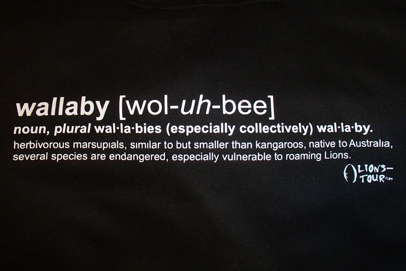 2013 Wallaby Definition Hoodie - Black - product images  of 