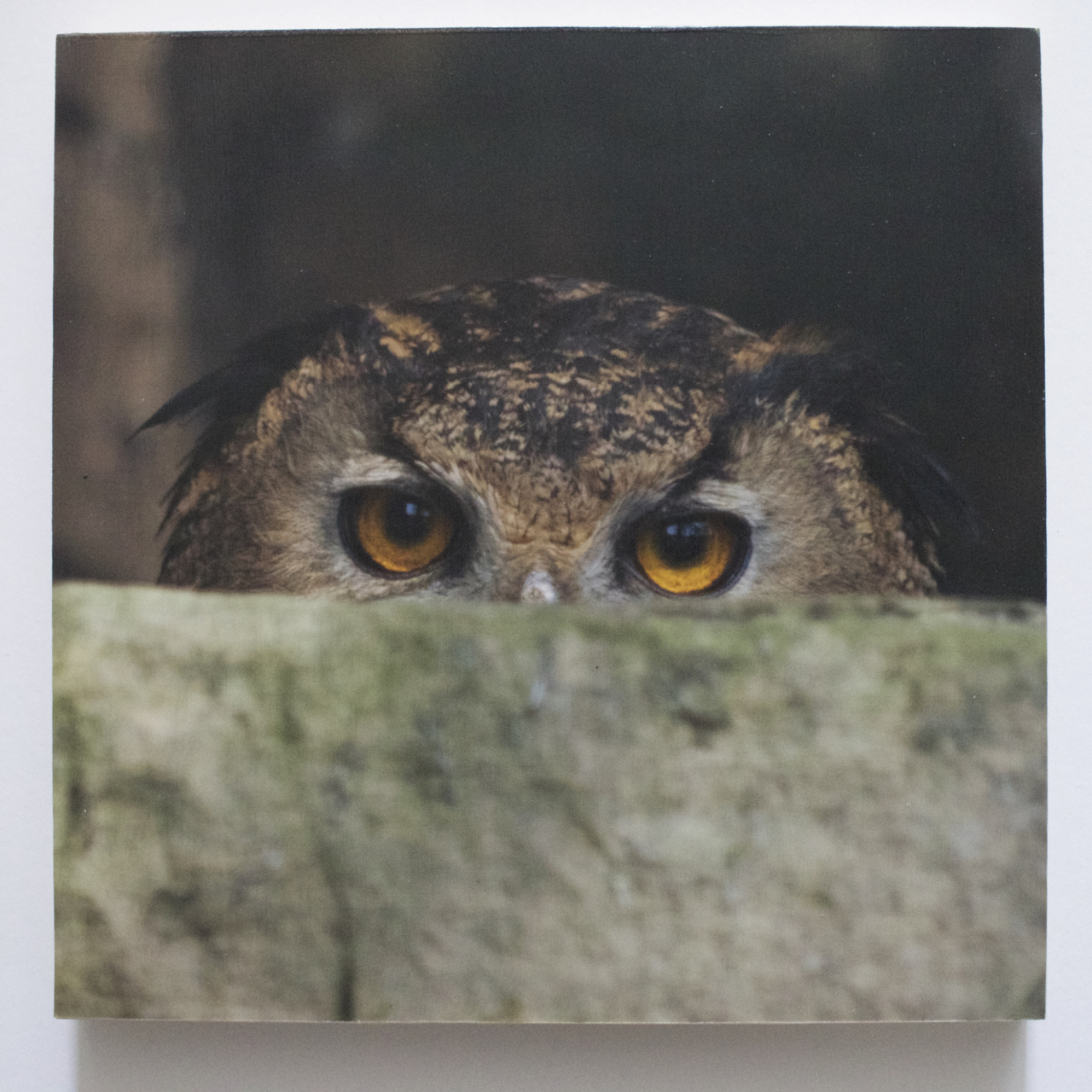 Wall Art for Trade Customers