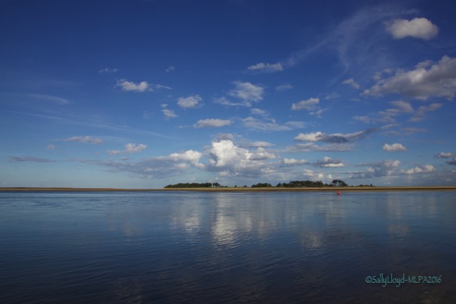 Sally Lloyd Photography
