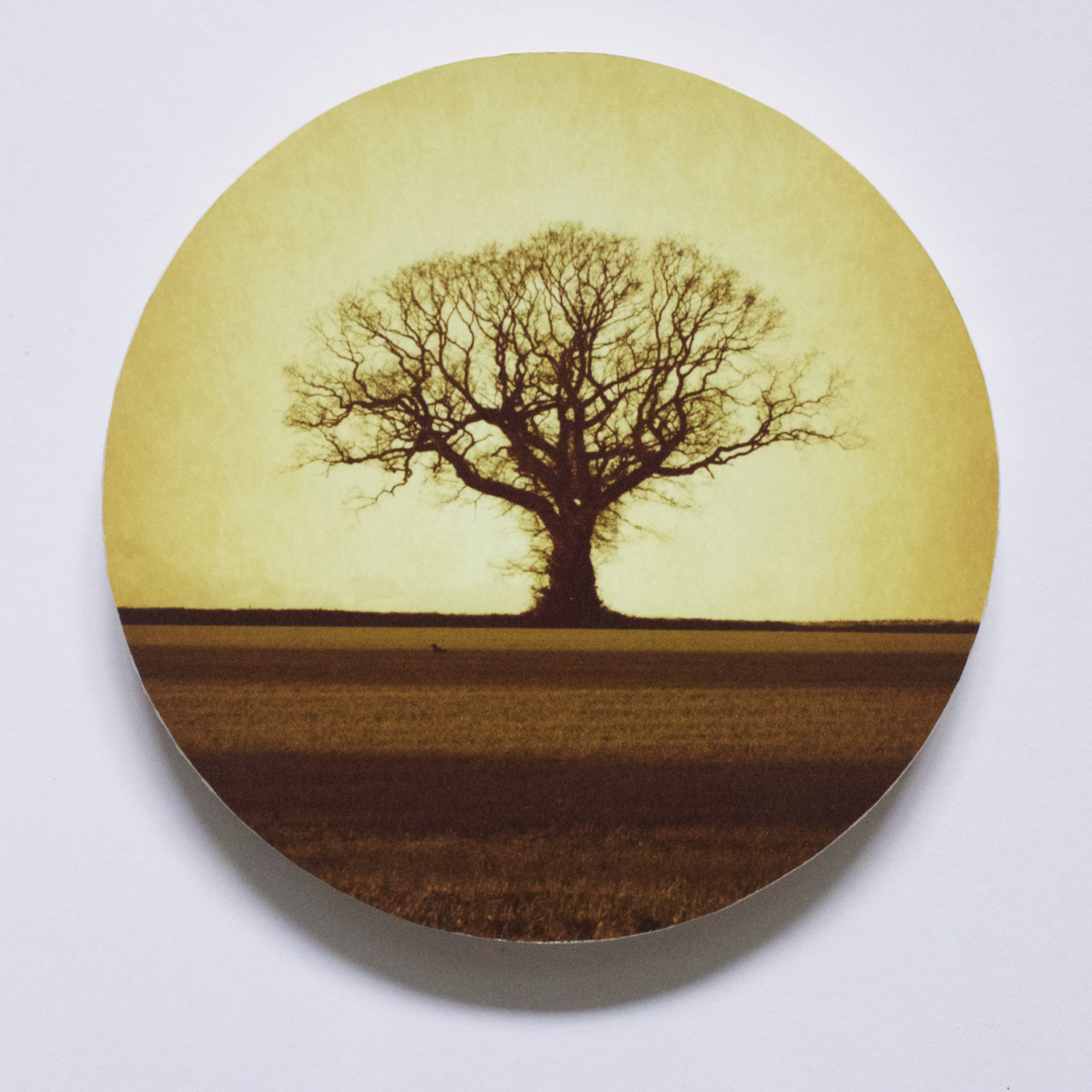 Wood on Wood