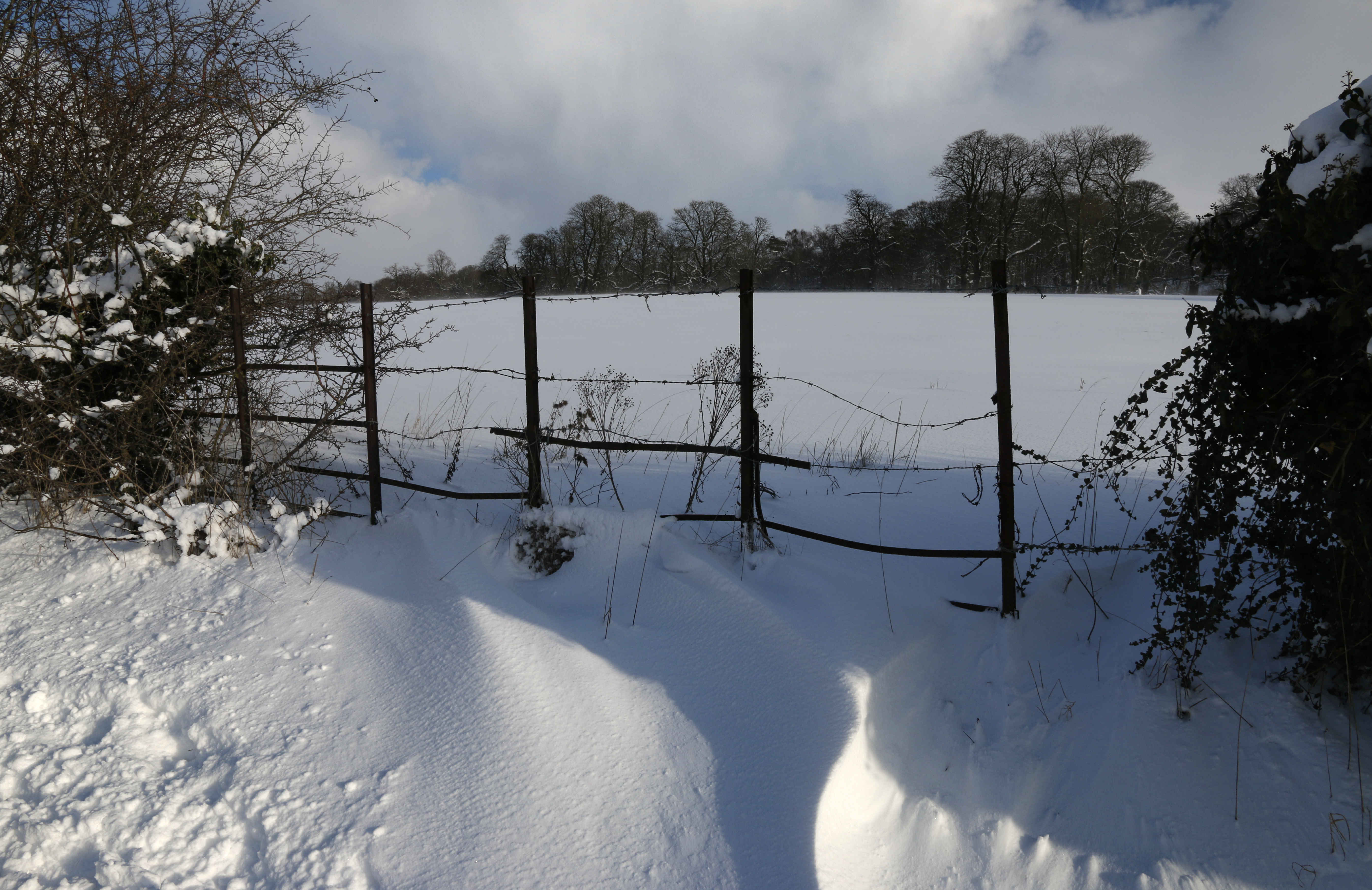 The Beautiful Beast from the East