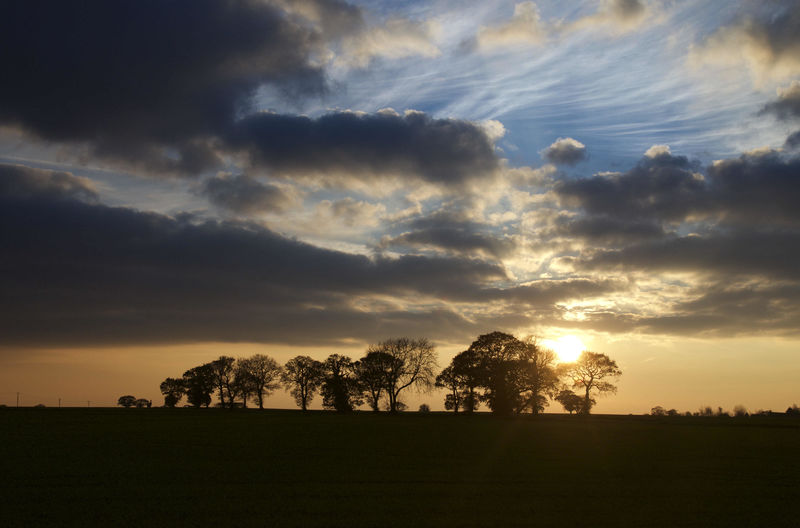 Sunset Countryside Trees - product images
