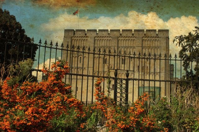 Autumnal Norwich Castle - product images
