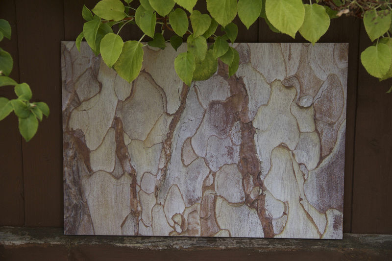 Bark one - product images