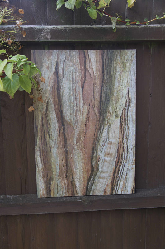 Bark Two - product images