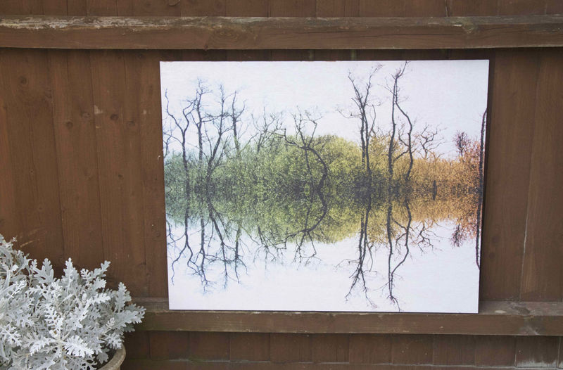 Symmetry Trees - product images