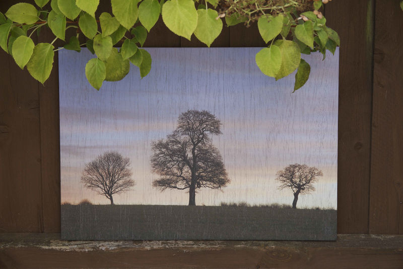 Sunset Three - product images