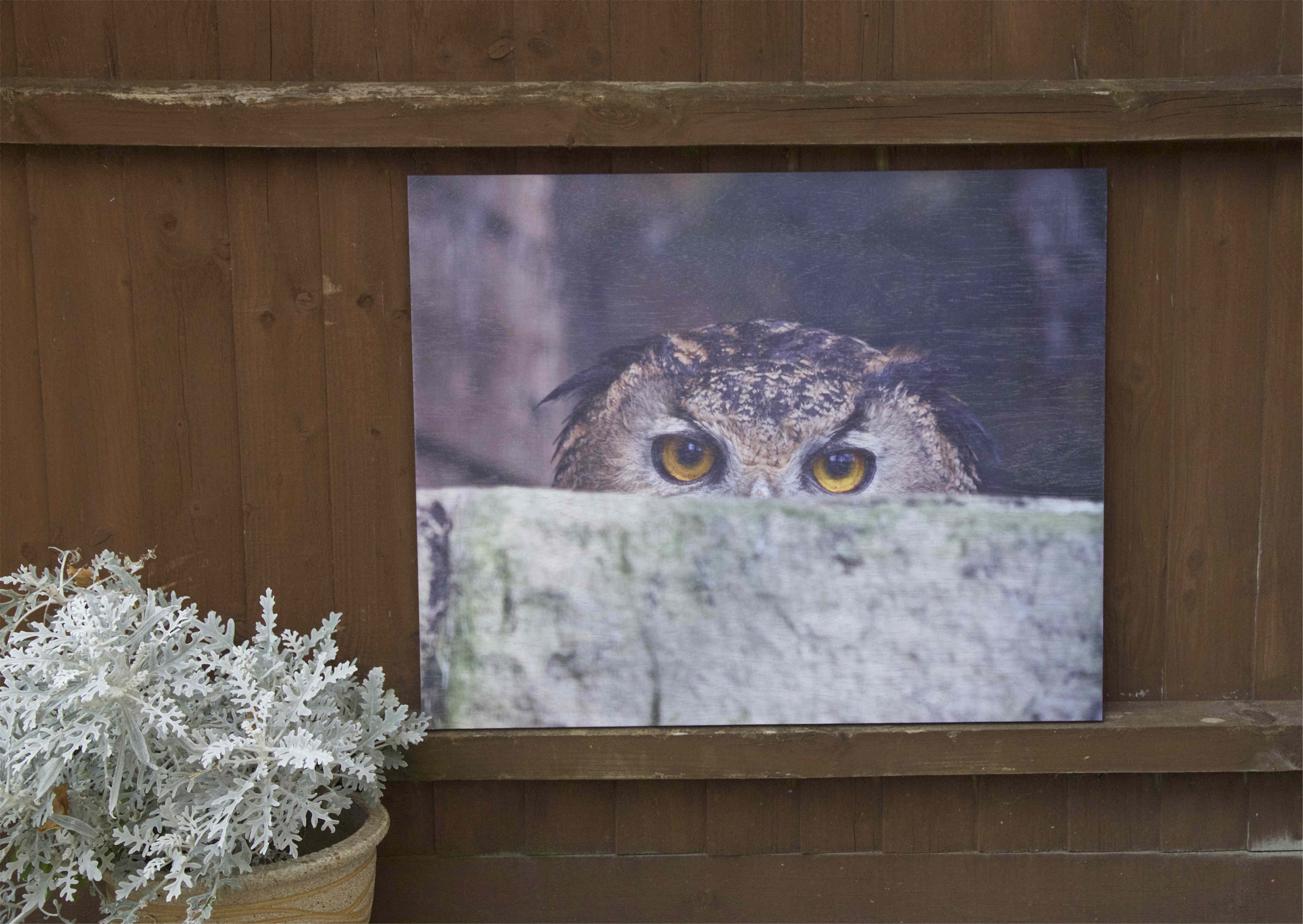 East Ruston Old Vicarage Garden Event