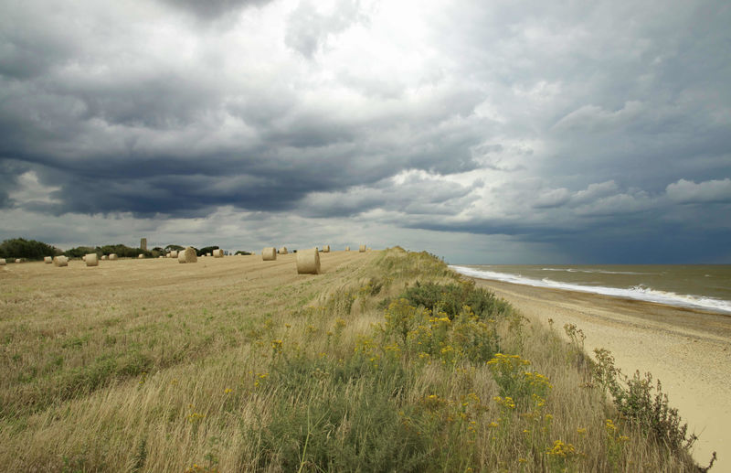 Beach & Wheat Fields at Covehithe, Suffolk - product images