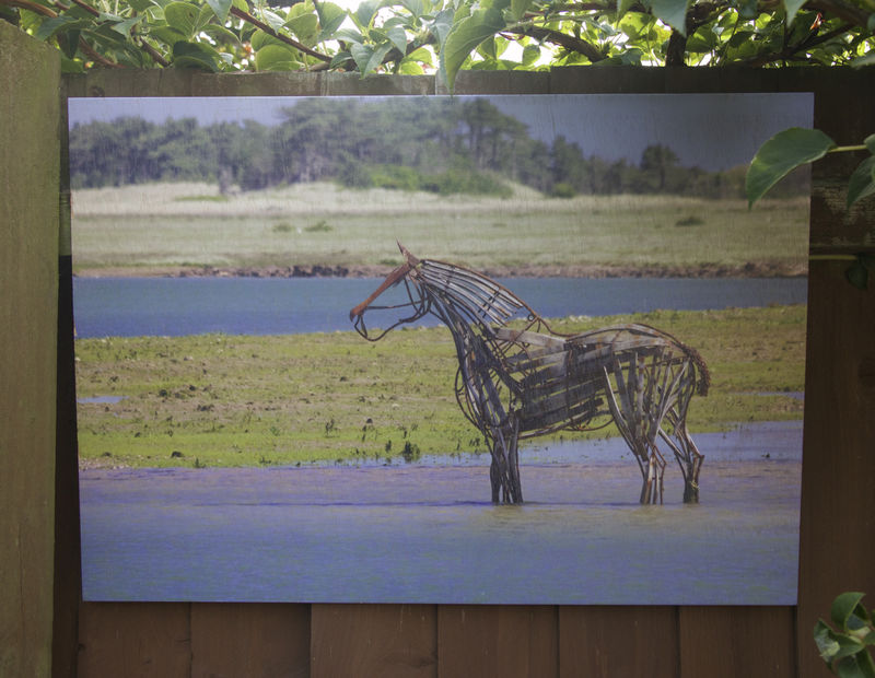 The Lifeboat Horse - Wells wood print. - product images