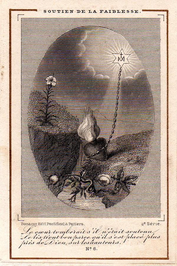 The Lily Holds Firm | Card