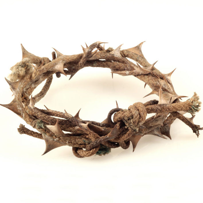 Crown of Thorns I