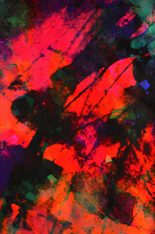 SOLD OUT Firework Silk Scarf - product images  of 