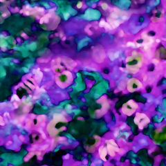 Product images  of 