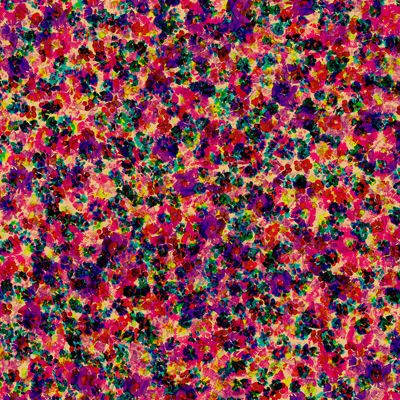 Floral Explosion Silk Scarf - product images  of 
