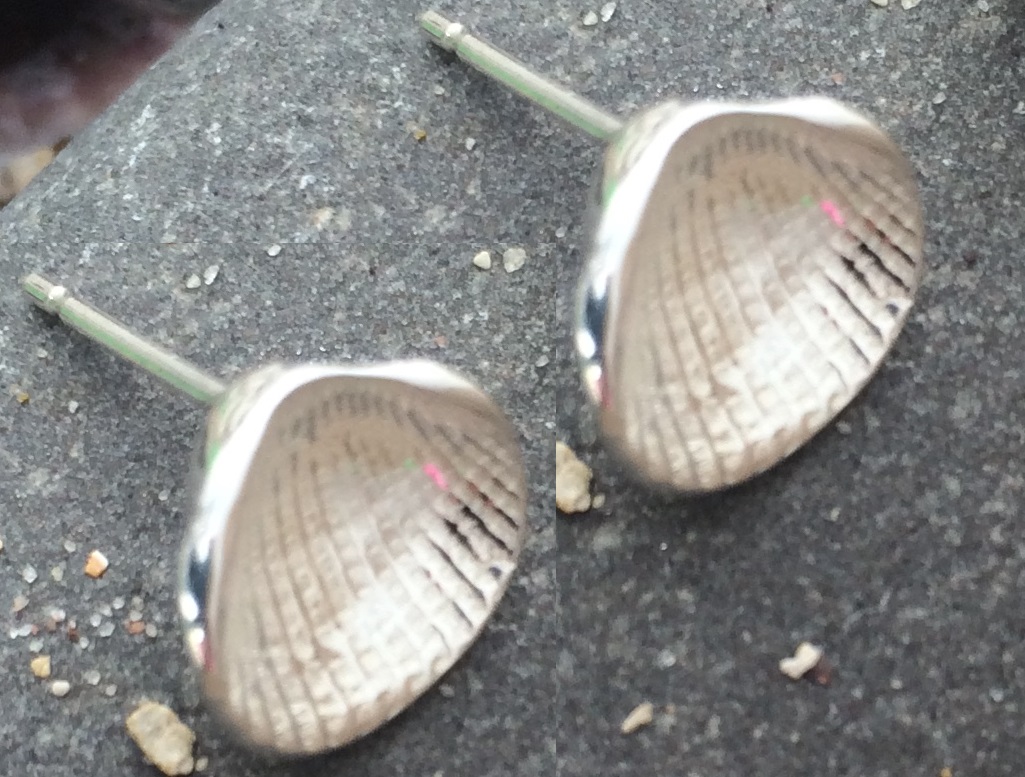 Silverbean silver shell earrings