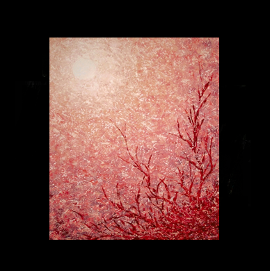 Red,Sea,Coral