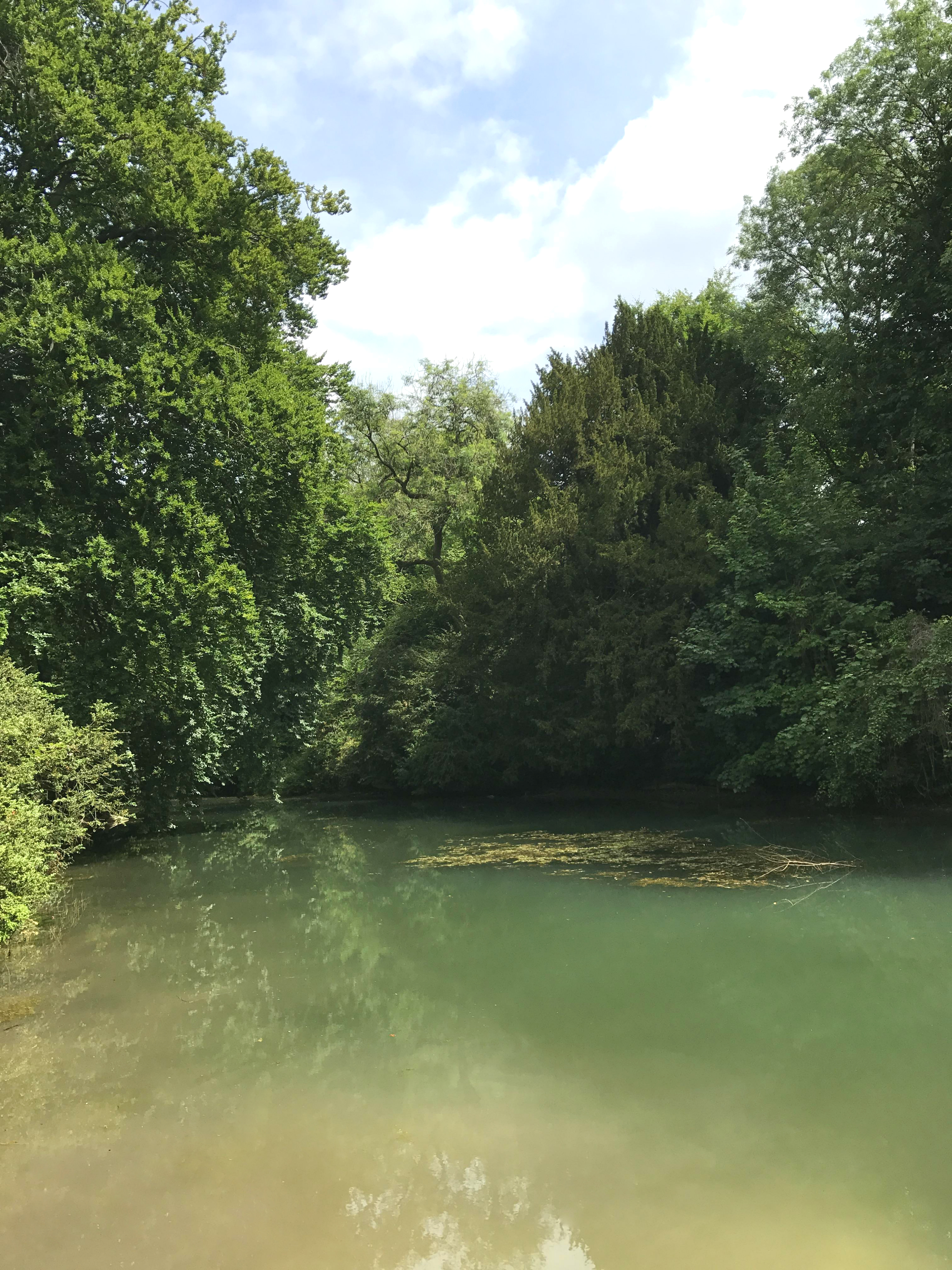Hidden Curiosities Gin Silent Pool Distillery Surrey Hills