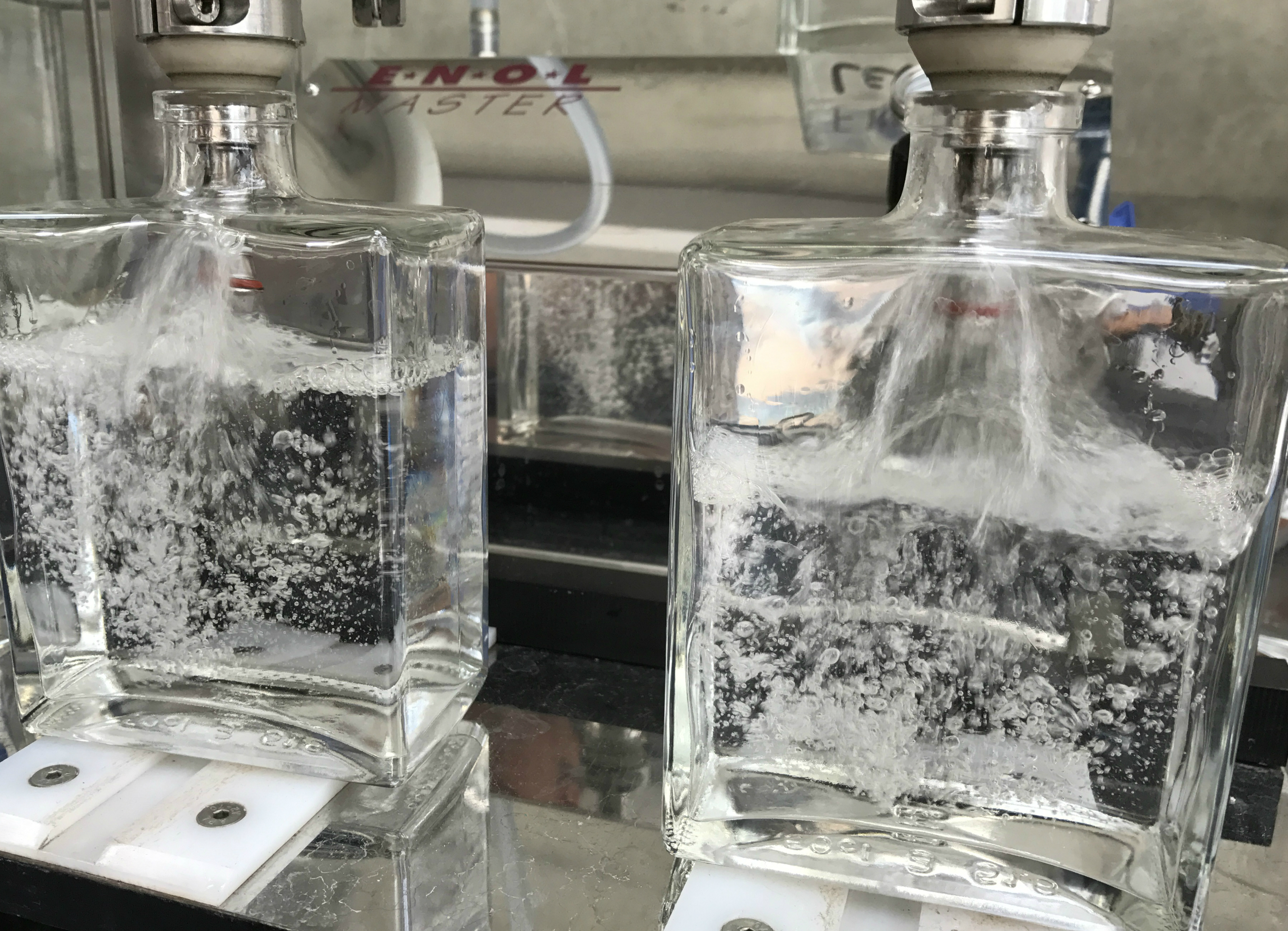Hidden Curiosities Gin Bottles Bottling