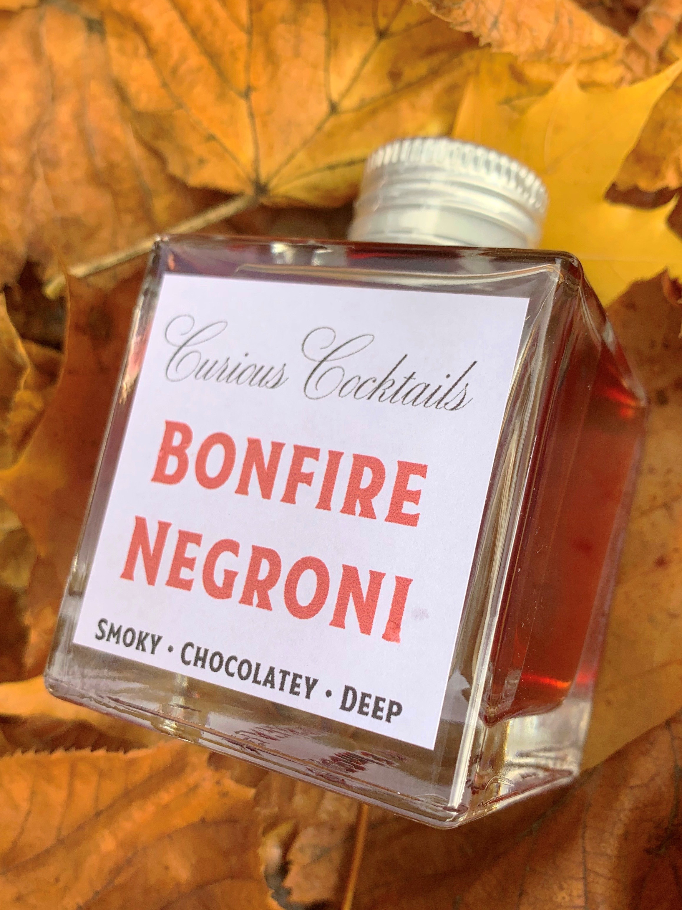 Hidden Curiosities Bonfire Negroni Premix Cocktail
