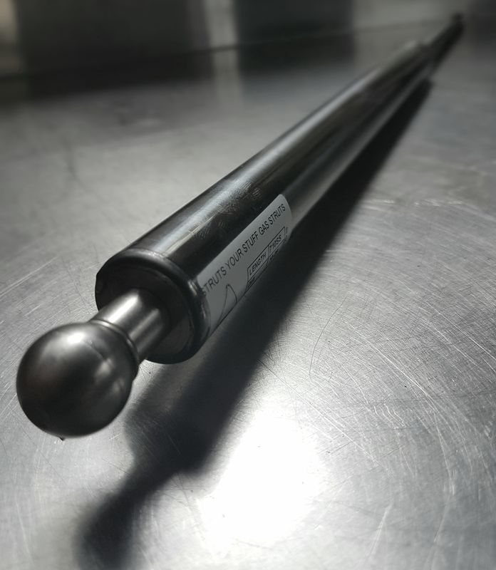 Stainless Steel Gas Struts Strut Your Stuff Gas Struts