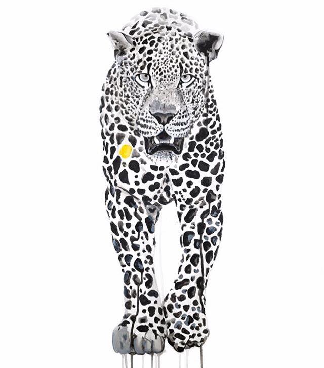 Spots by Sophie Long