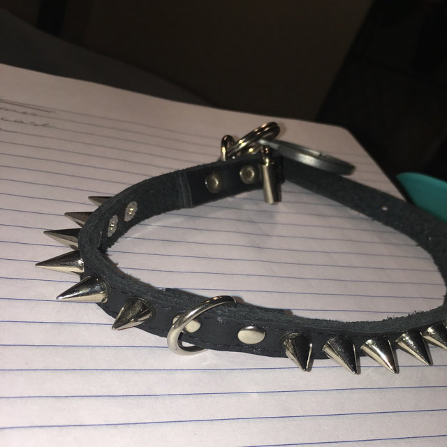 Pet collars