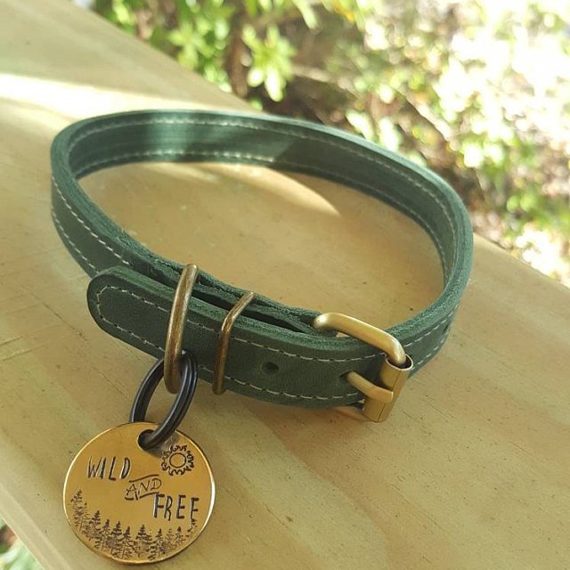 Leather dog collars blue