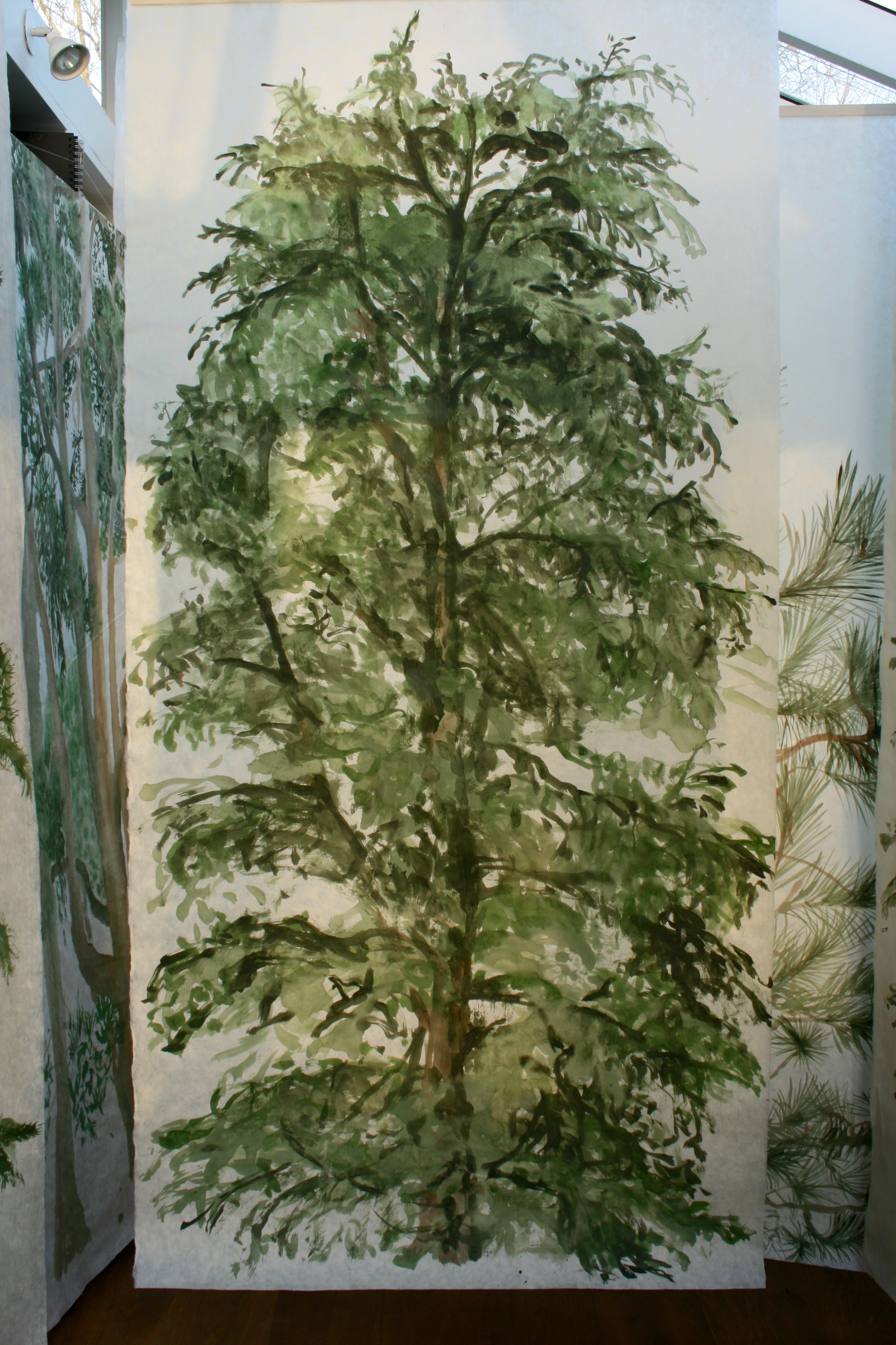 This Cedar in Kew Gardens has beautiful preportions. A tree banner painted in acrylic on unbleached Kozo paper. This banner can be rolled for storage or posting and unfurled and simply hung for immediate effect.
