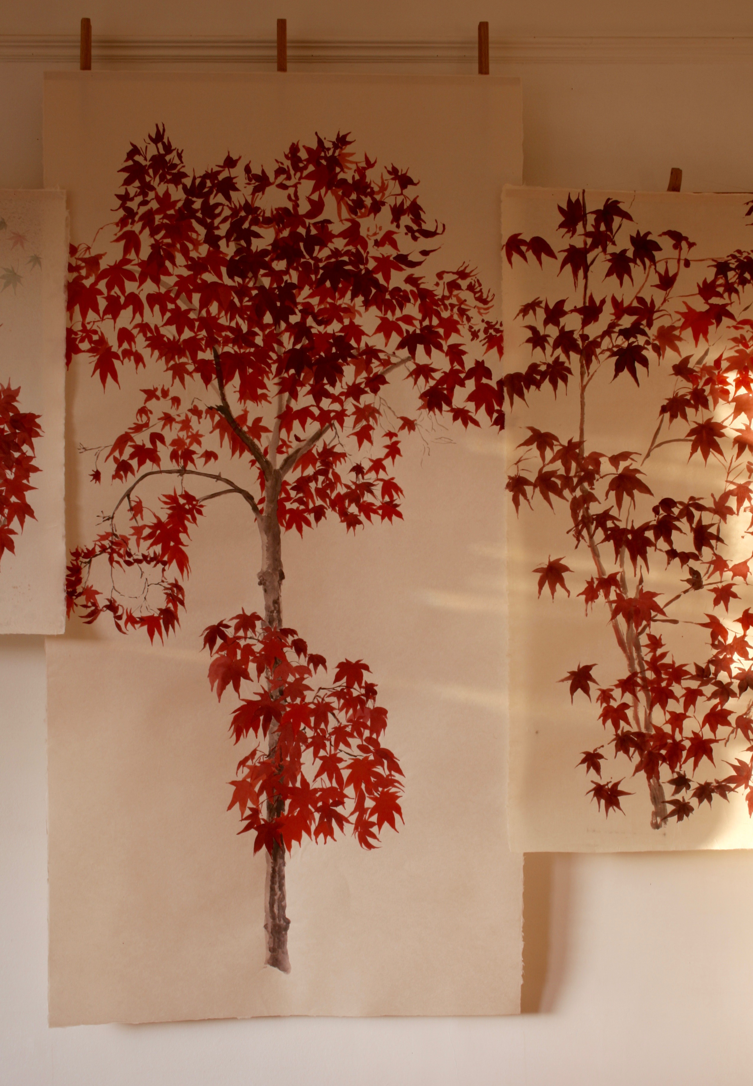 Starburst of brilliant red leaves on handmade Yuumashi paper.