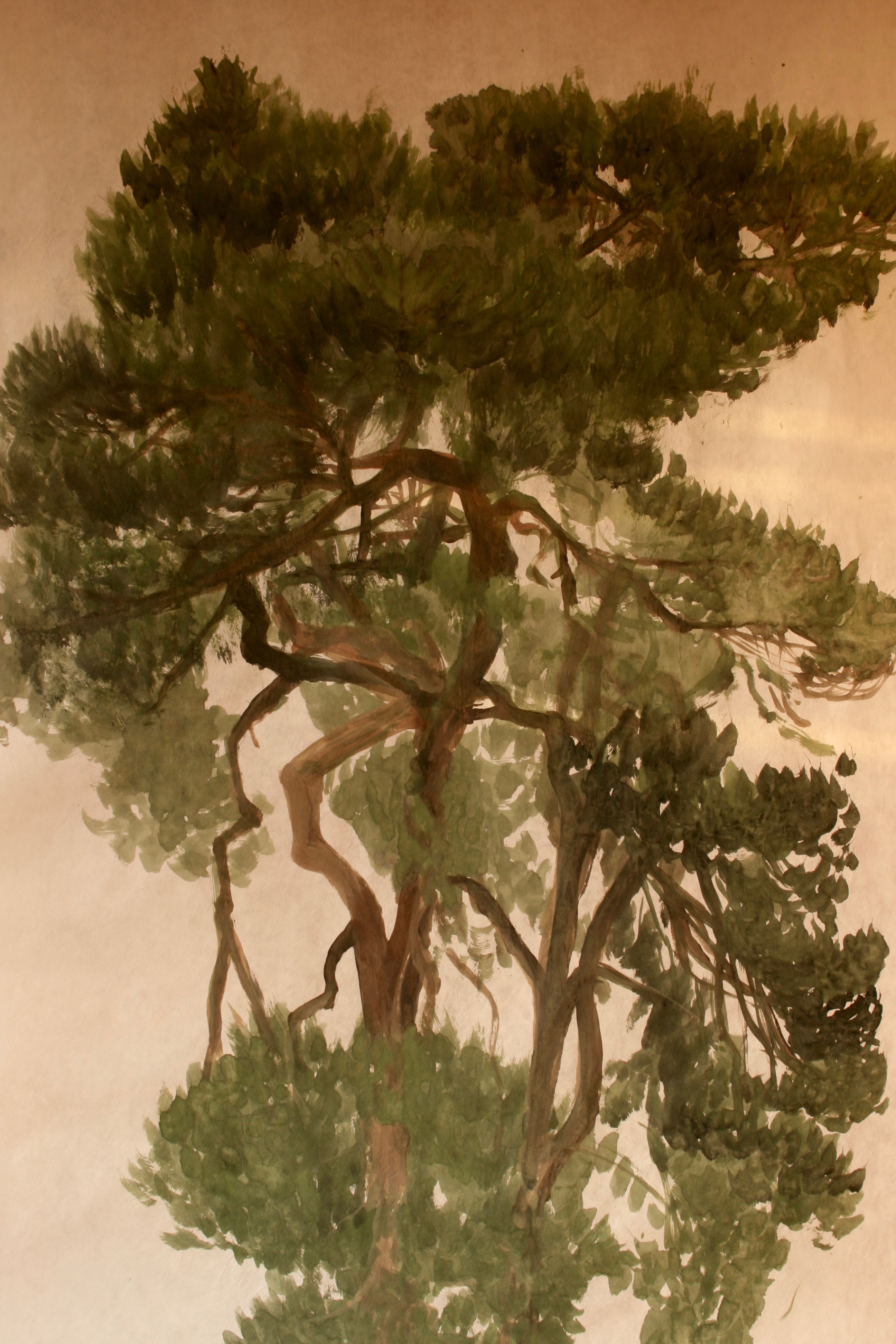 Two Scots pines growing so closely together and casting interesting shadows on each other. This banner can be rolled for storage or posting and unfurled and simply hung for immediate effect.
