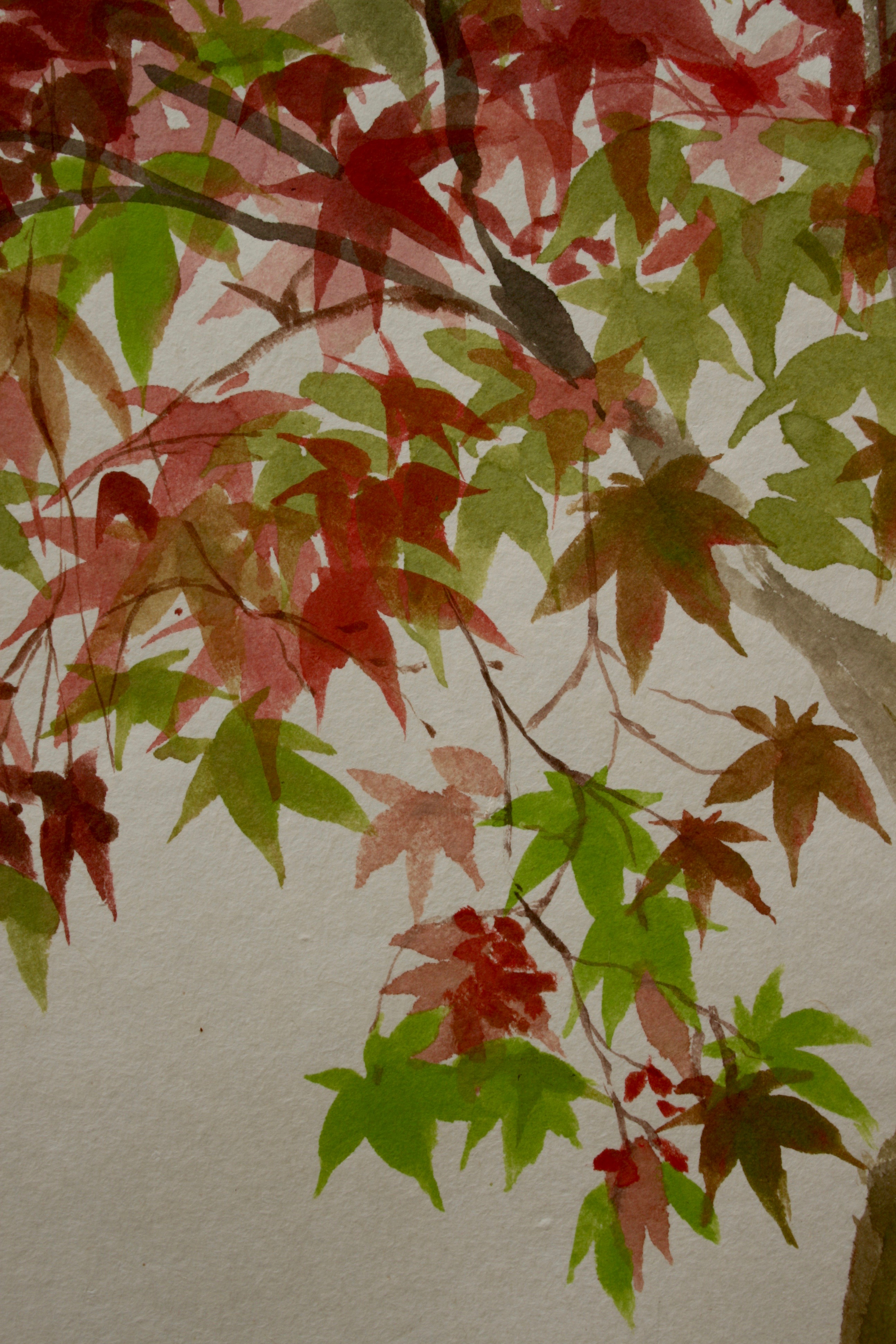 Early Autumn colour changes
