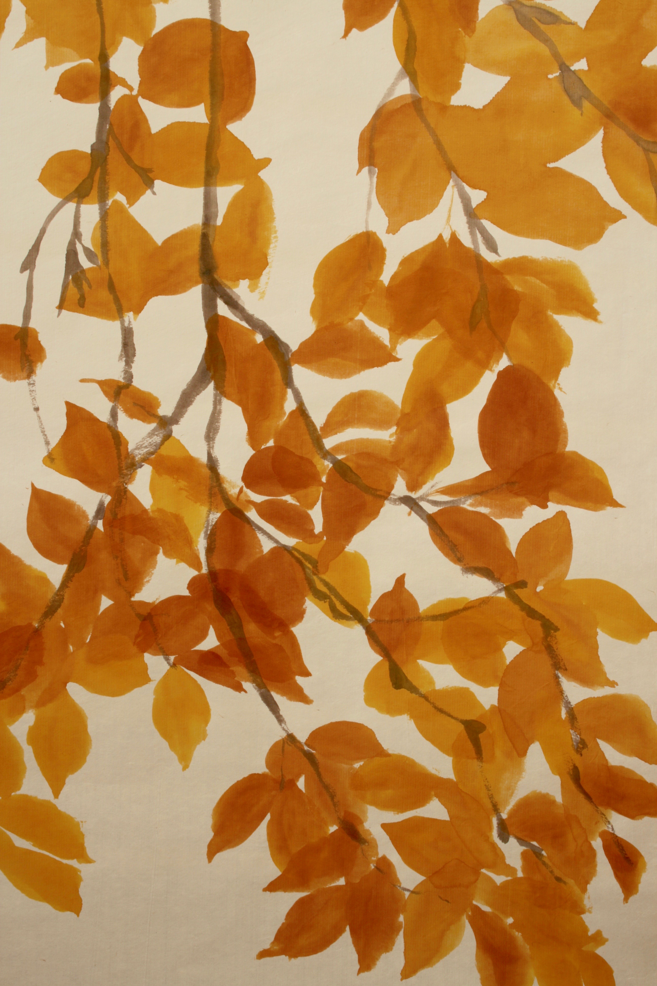 A beech which is deep purple in summer turns warm gold in Autumn