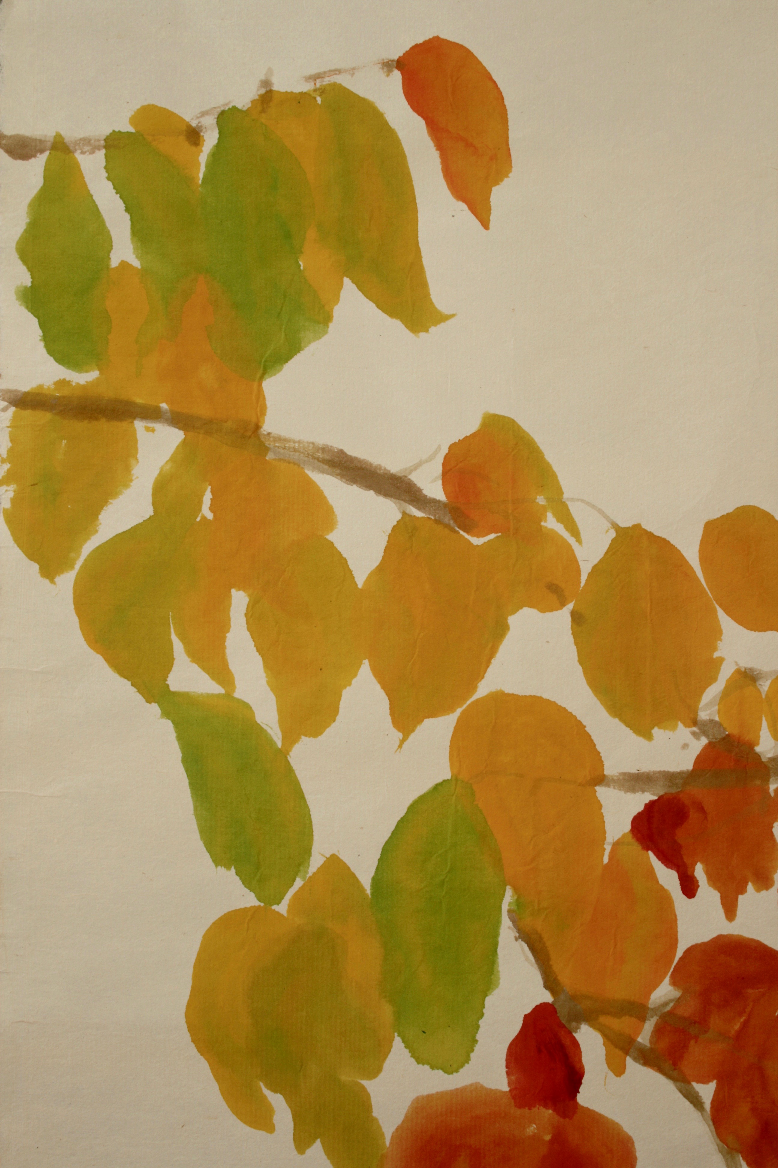Full spectrum of autumn colours from Ironwood Parrotia Persica on Hansarashi Kozo paper