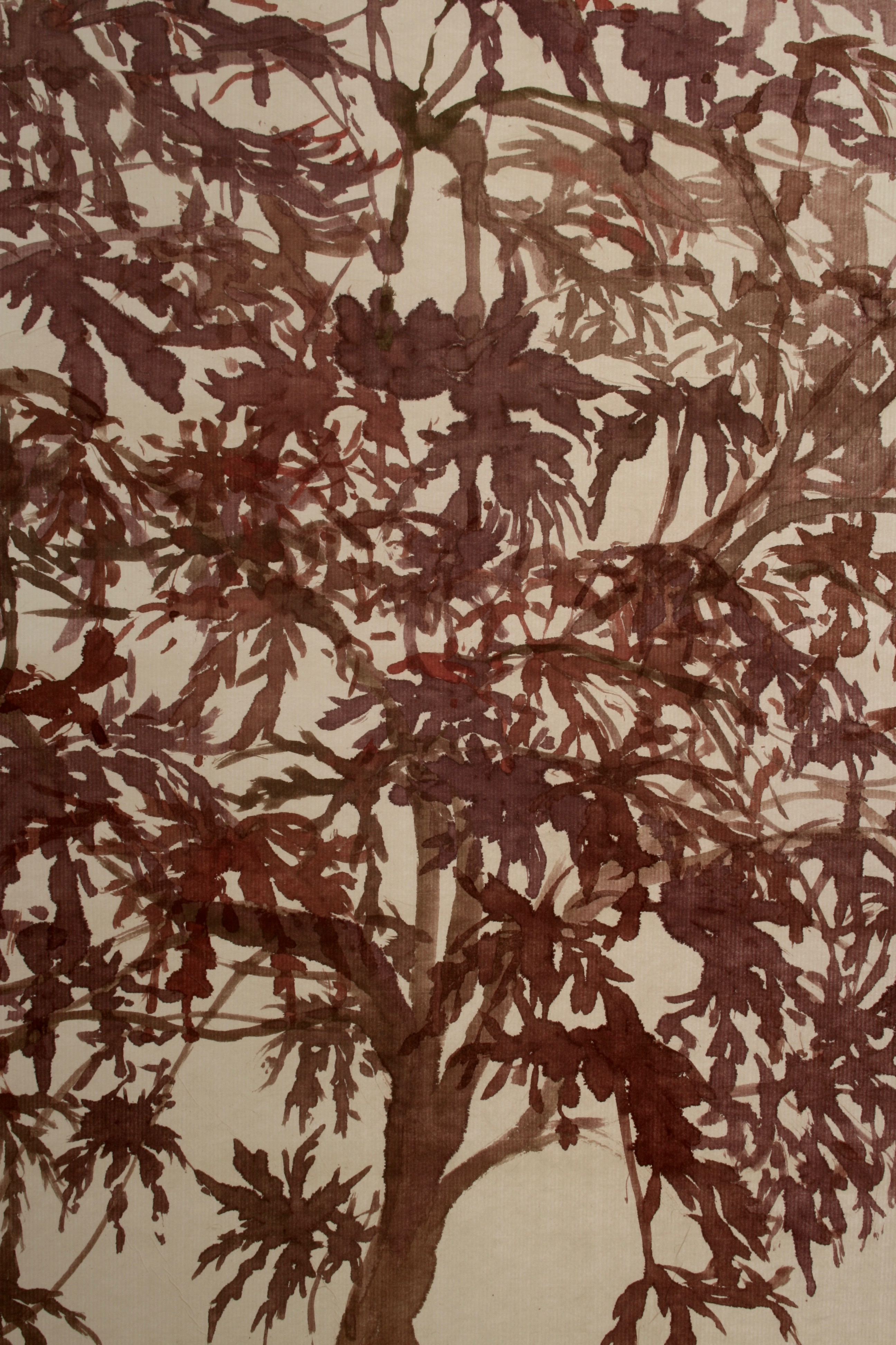 Acer palmatum, Japanese maple, painted on handmade Seichosen paper