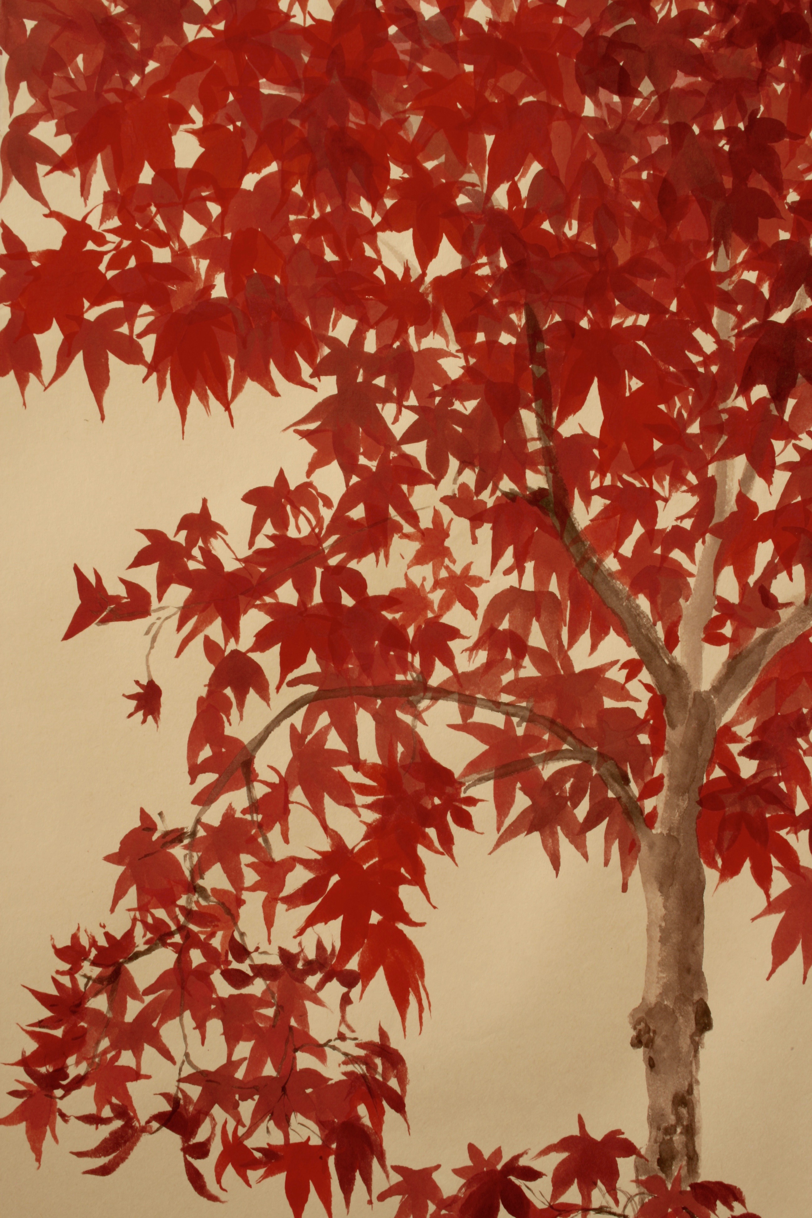 Vibrant red Autumn Acer calligraphic painting