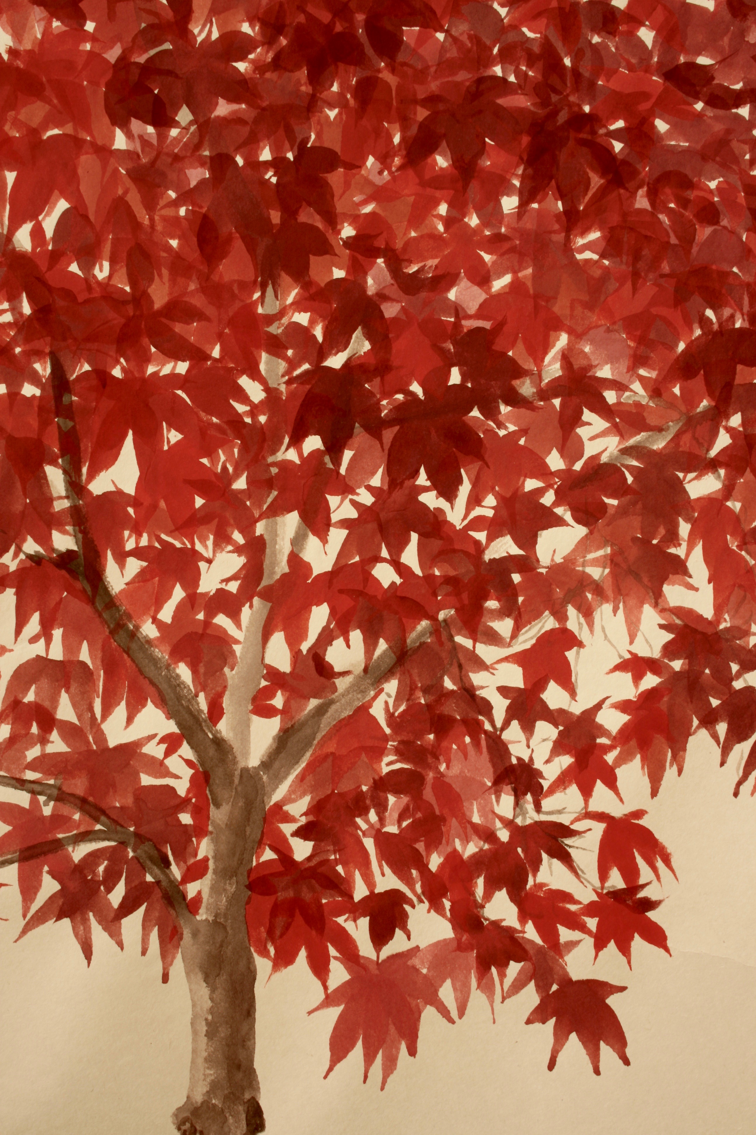 Red Acer on handmade Yuumashi paper