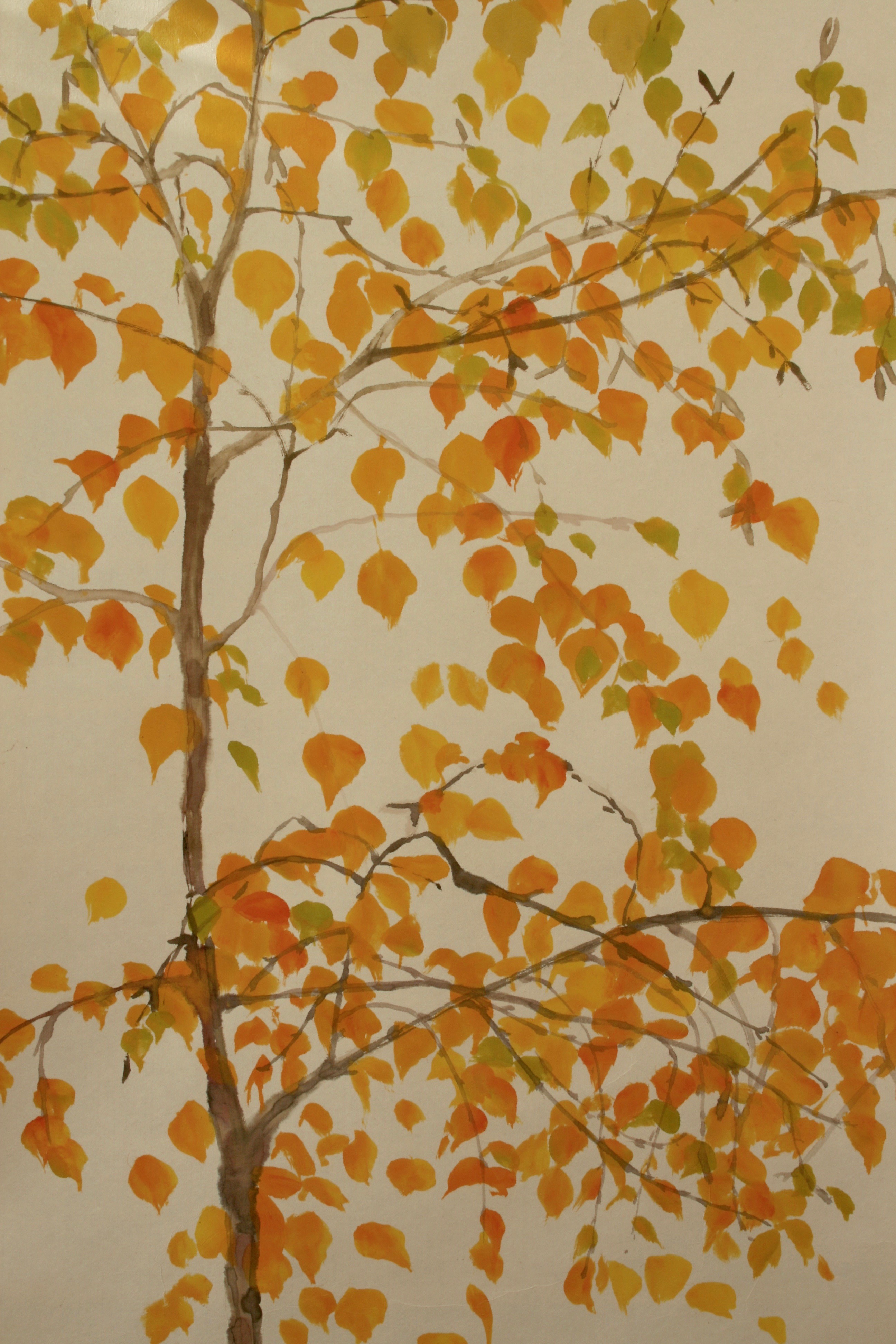 Shades of autumn on Silver Birch tree
