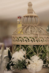 Distressed,Antique,Cream,or,White,Bird,Cages,-,HIRE,ONLY,Bird Cages, birdcages, wedding bird cages, bird cage hire, bird cage centrepiece, bird cage centerpiece