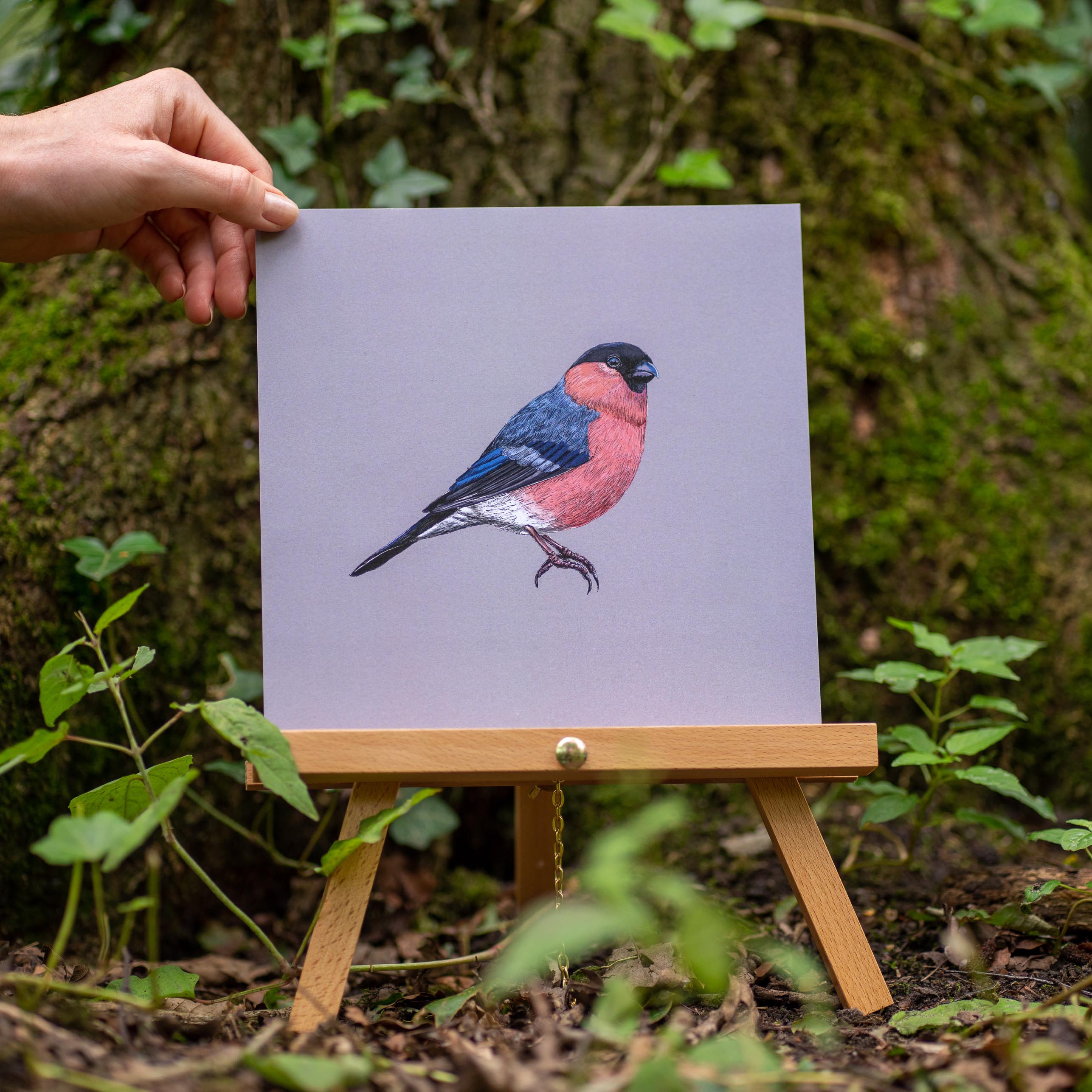 Fully Fledged Art