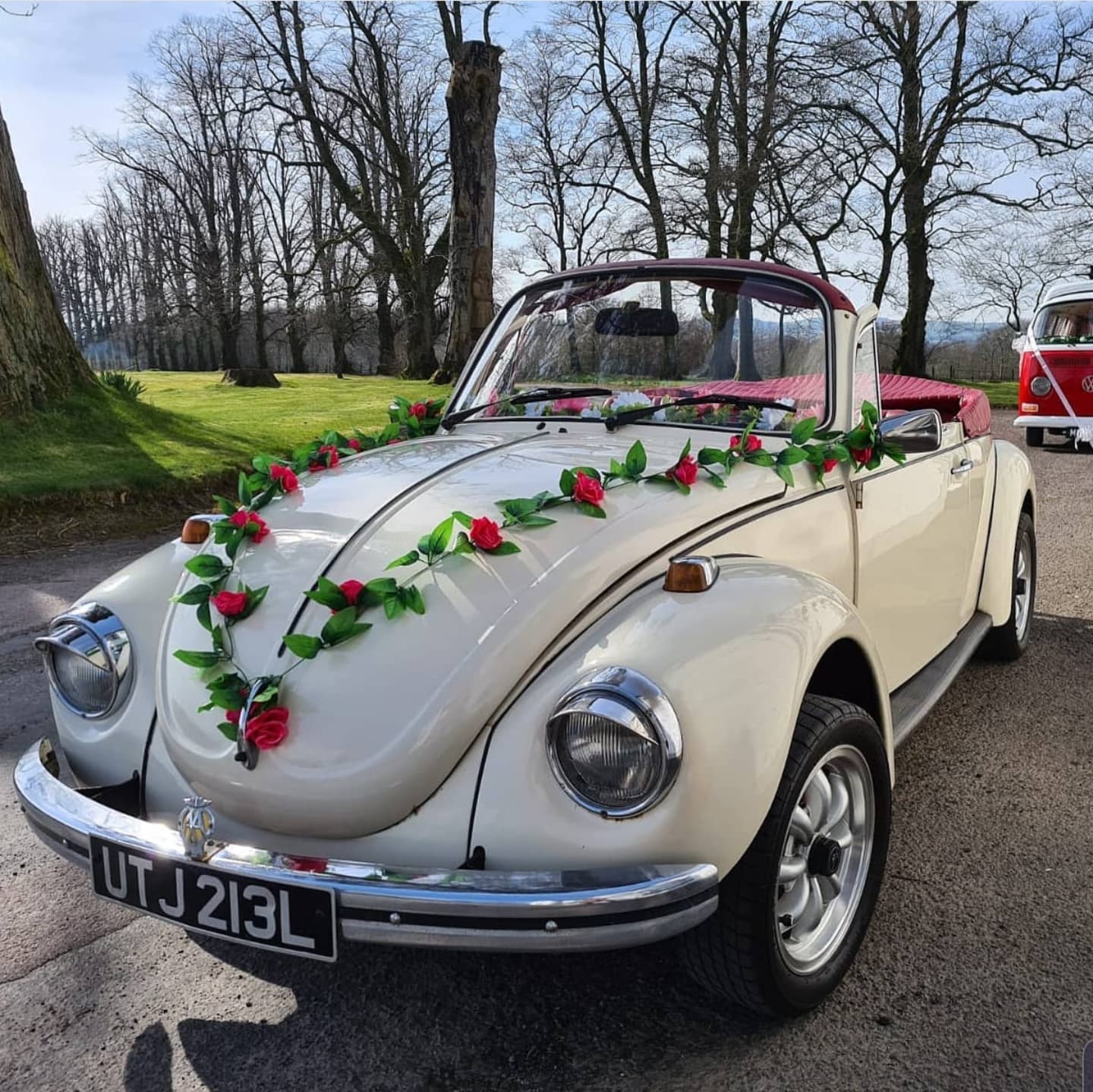 The Love Bug D&G