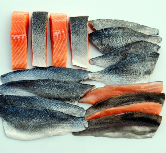 D and G Seafoods Ltd