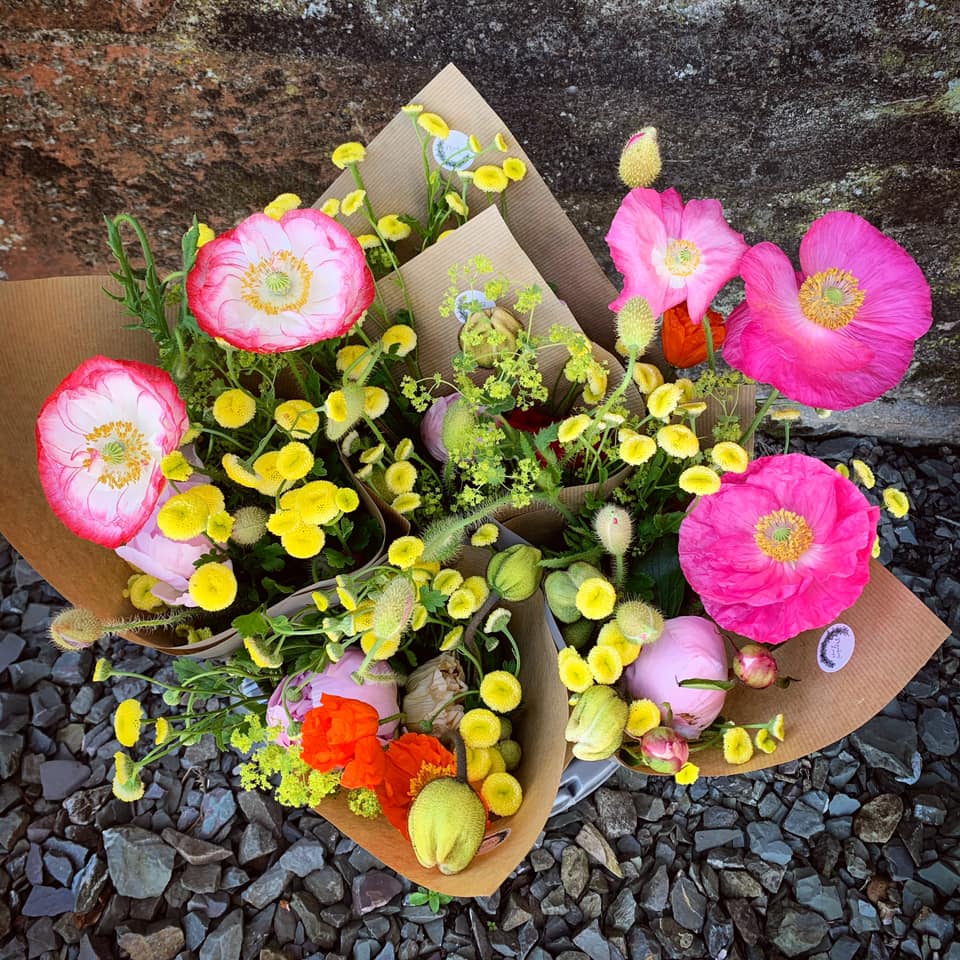 Mountain Daisy Flower Farm Wreaths