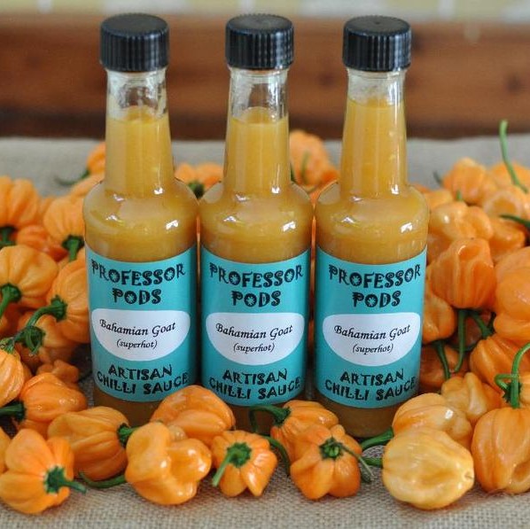 Professor Pods